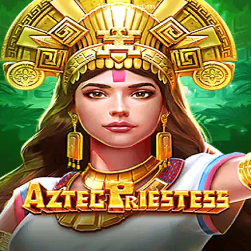15Q.COM: A Plataforma de Apostas #1 do Brasil Casino App